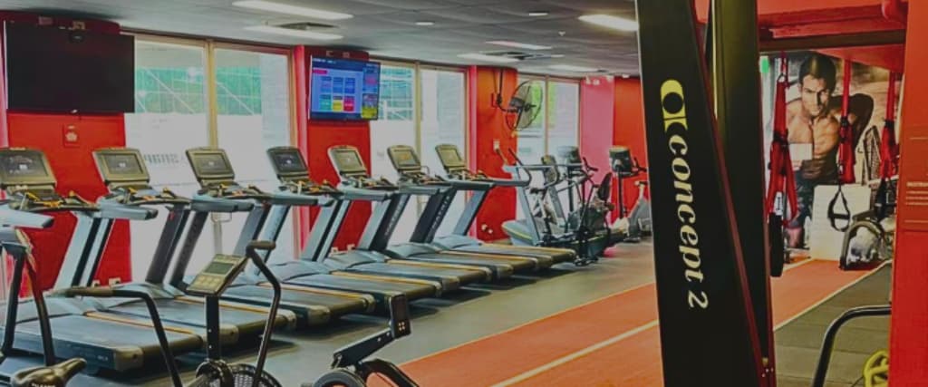 Best Gyms In Sydney My Healthy Balance