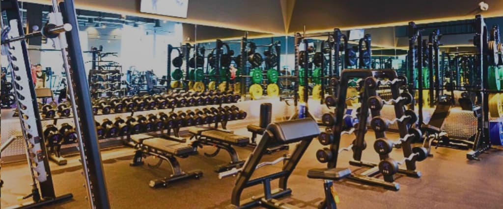 Anytime Fitness Prices & Membership Cost 2024 – MY Healthy Balance